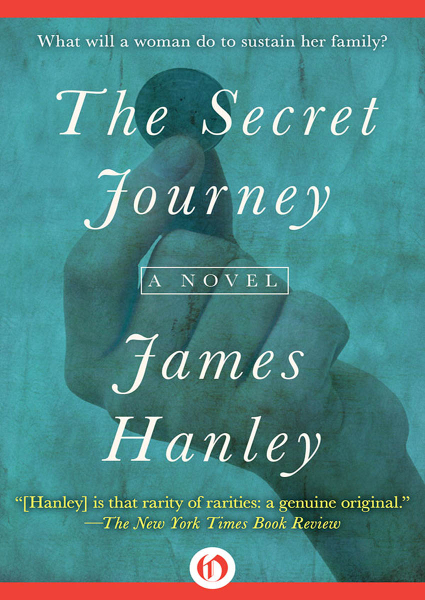 The Secret Journey by James Hanley