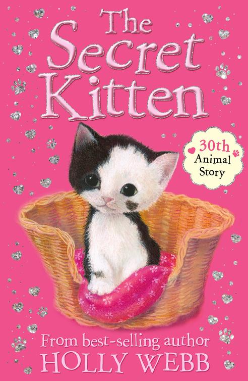 The Secret Kitten (2015) by Holly Webb