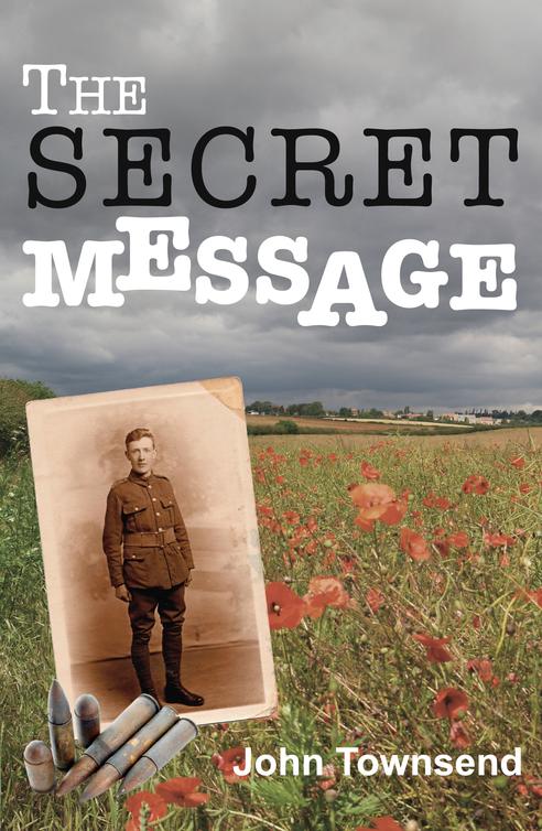 The Secret Message (2013) by John  Townsend