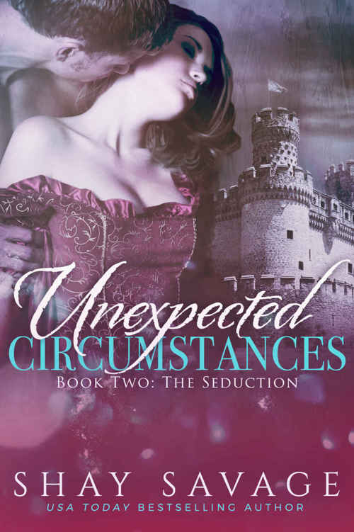 The Seduction (Unexpected Circumstances #2)