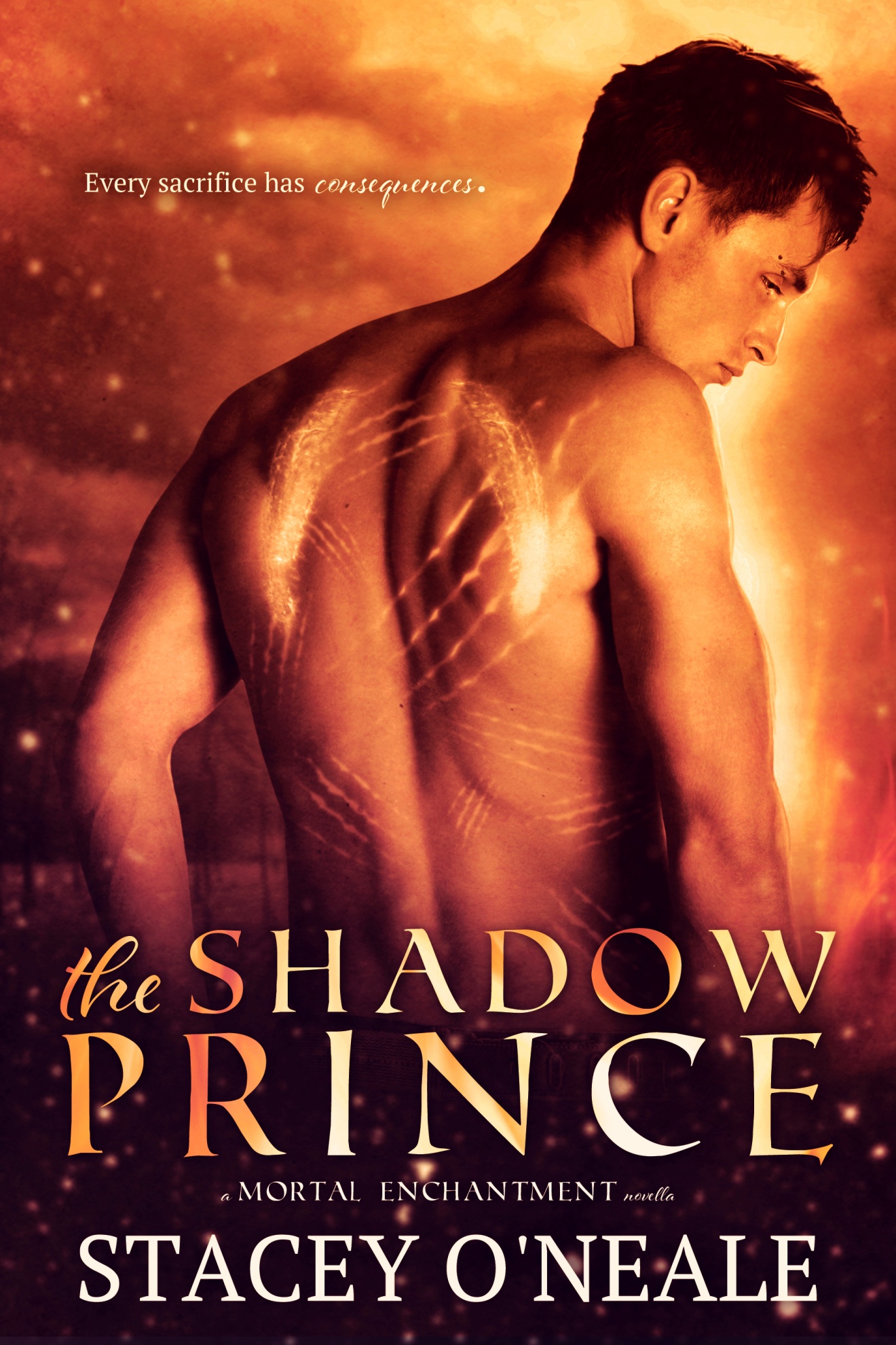 The Shadow Prince by Stacey O'Neale