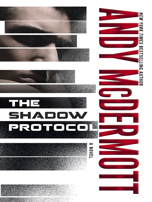 The Shadow Protocol (2014)