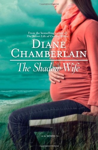 The Shadow Wife by Diane Chamberlain