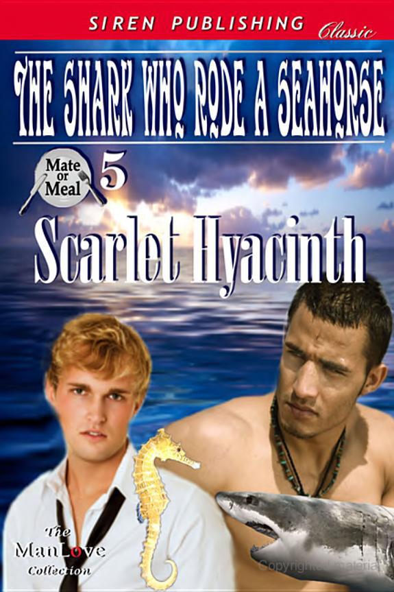 The Shark Who Rode a Seahorse by Hyacinth, Scarlet