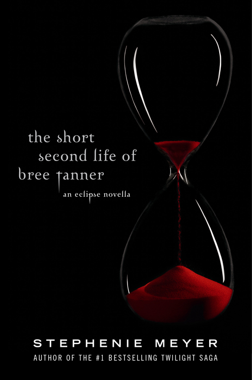 The Short Second Life of Bree Tanner (2010) by Stephenie Meyer