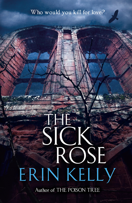 The Sick Rose (2011) by Erin Kelly