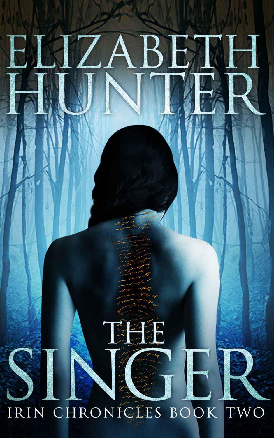 The Singer by Elizabeth   Hunter