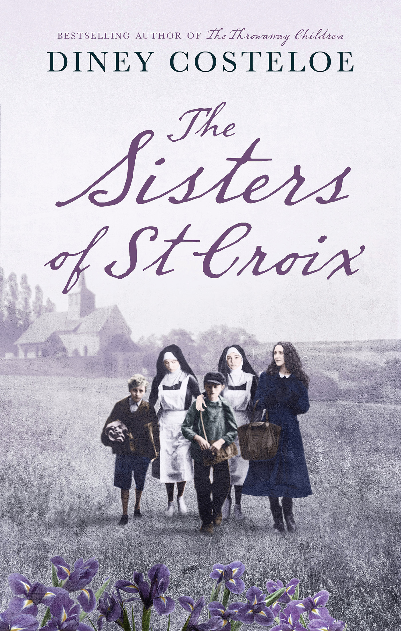 The Sisters of St. Croix by Diney Costeloe