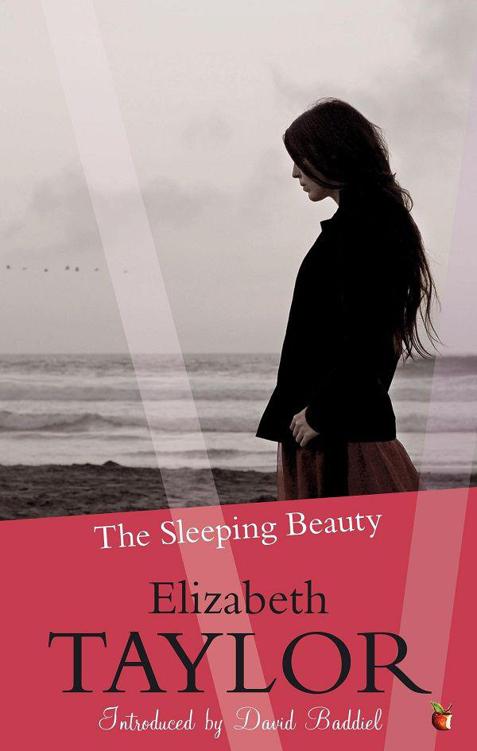 The Sleeping Beauty by Elizabeth  Taylor