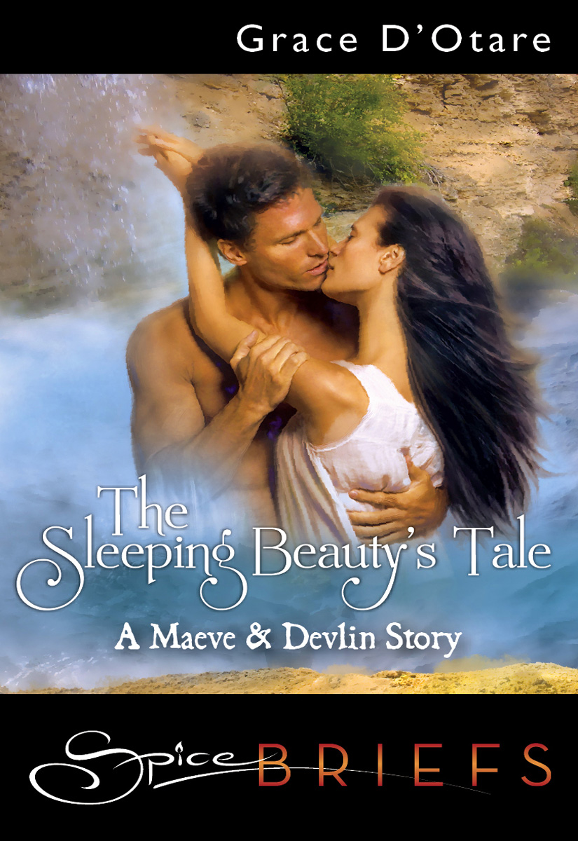 The Sleeping Beauty's Tale (2011)