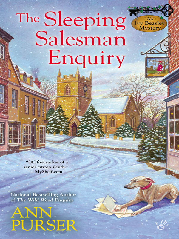 The Sleeping Salesman Enquiry (2013) by Ann Purser