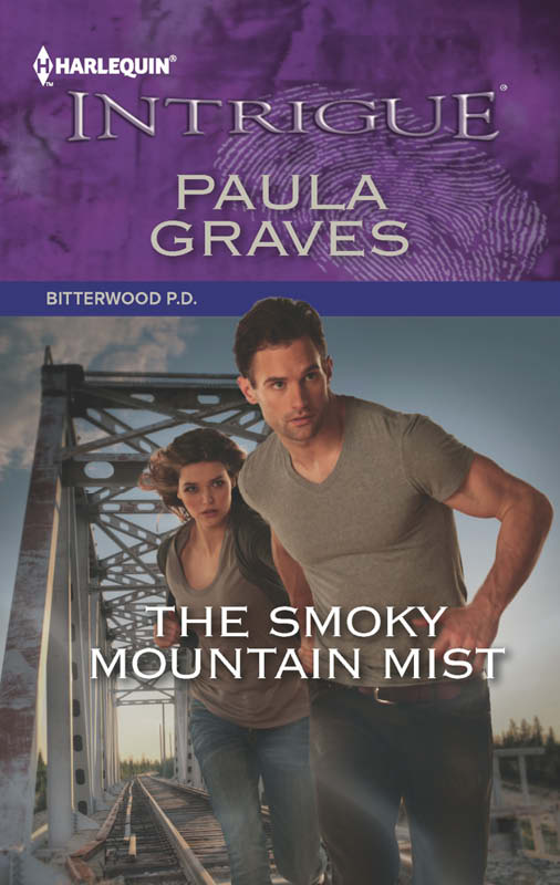 The Smoky Mountain Mist by Paula Graves