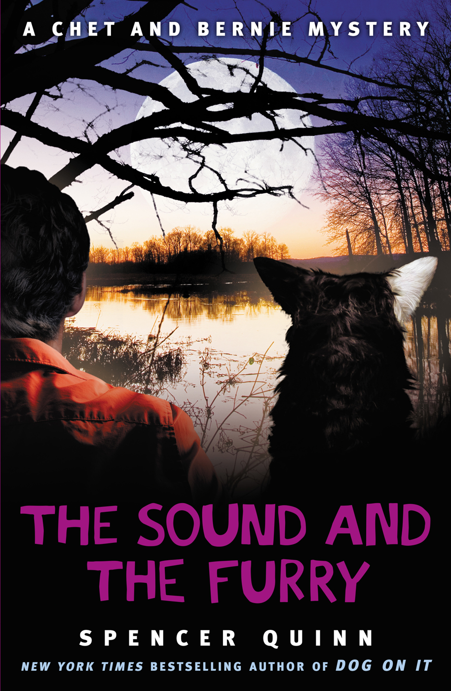 The Sound and the Furry