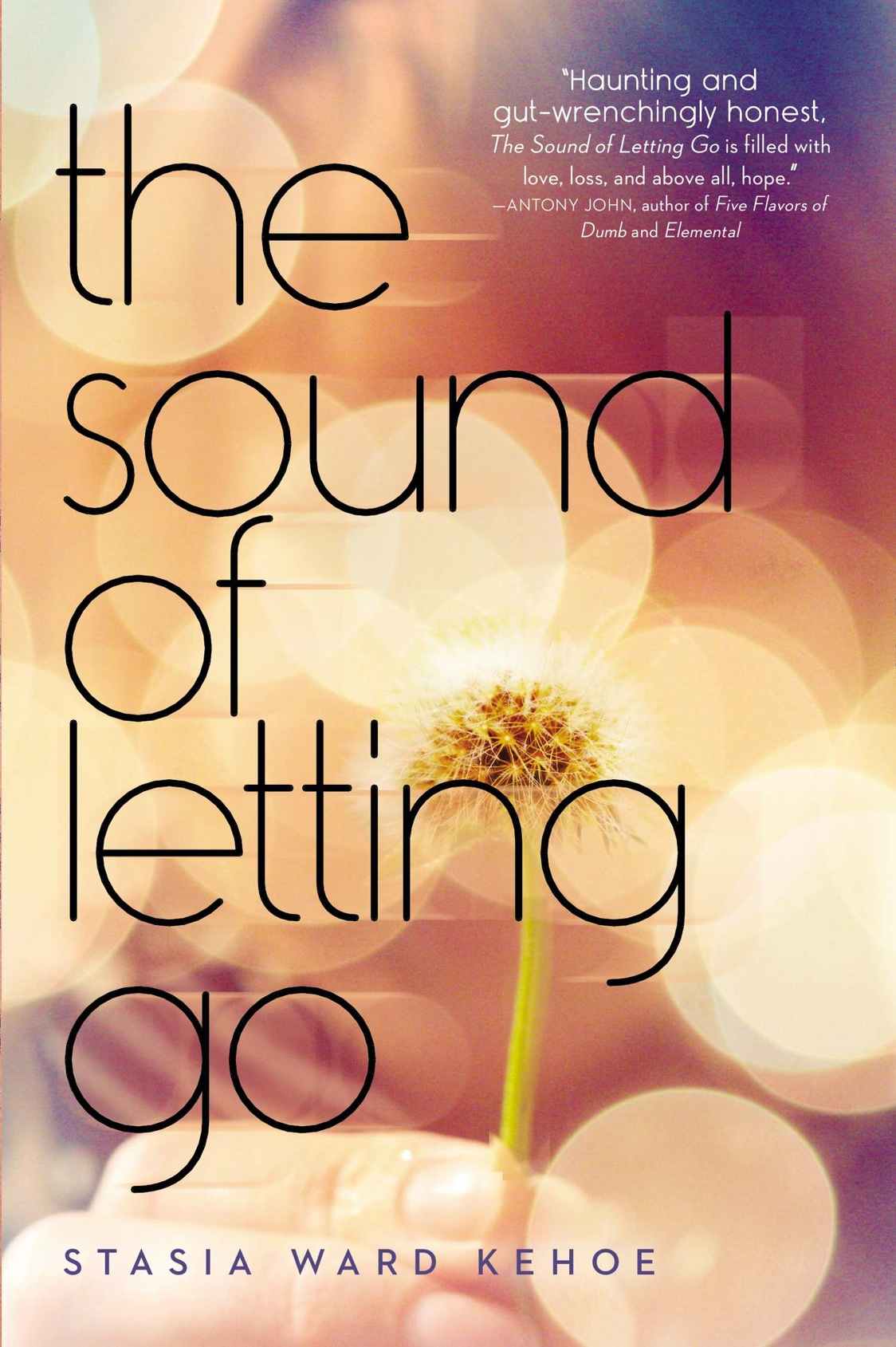 The Sound of Letting Go by Kehoe, Stasia Ward