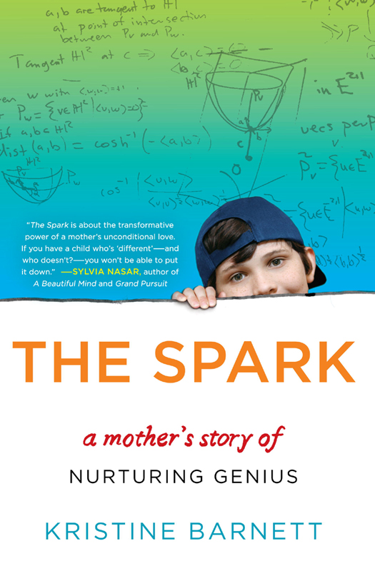 The Spark: A Mother's Story of Nurturing Genius by Barnett, Kristine