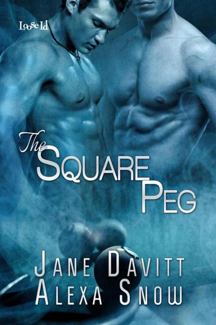 The Square Peg by Davitt, Jane