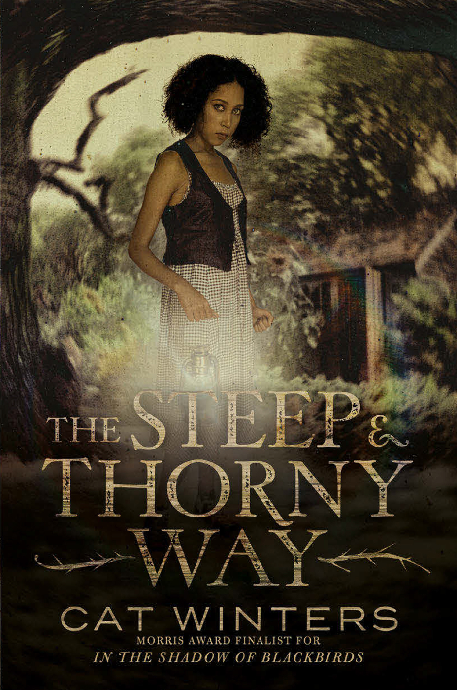 The Steep and Thorny Way by Cat Winters