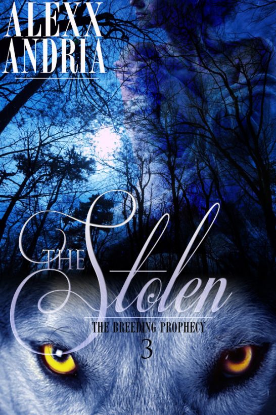 The Stolen by Alexx Andria