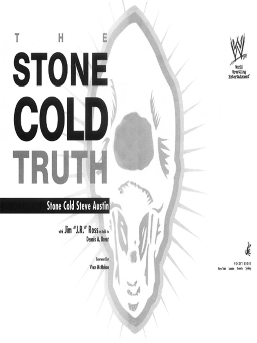 THE STONE COLD TRUTH by Austin, Steve