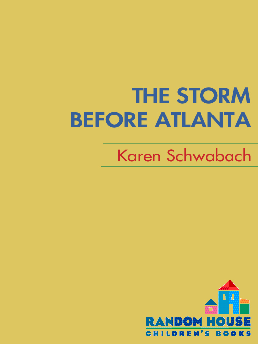 The Storm Before Atlanta (2010) by Karen Schwabach