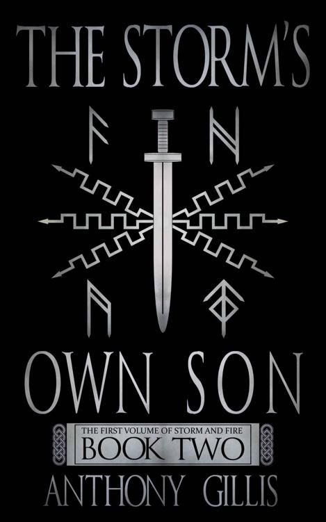 The Storm's Own Son (Book 2) by Anthony Gillis