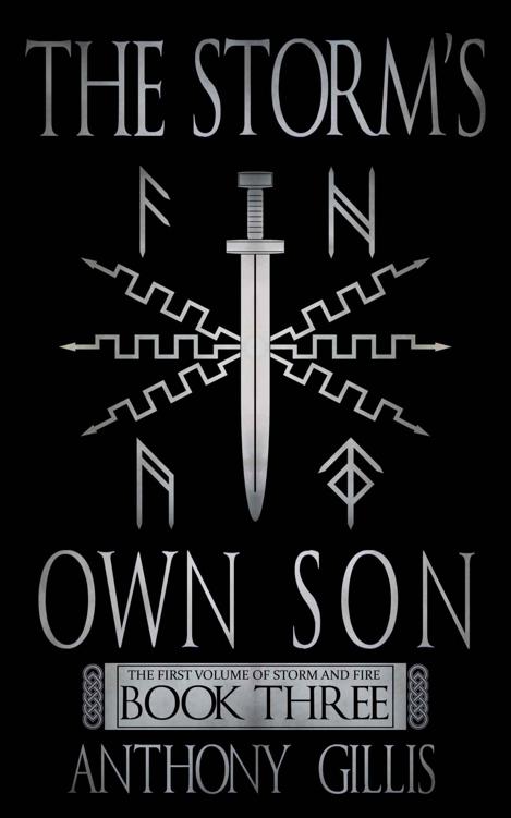 The Storm's Own Son (Book 3) by Anthony Gillis