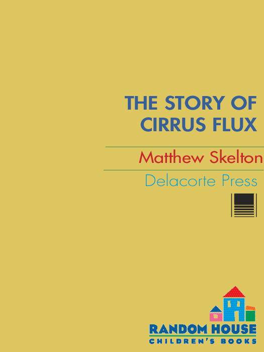 The Story of Cirrus Flux (2009) by Matthew Skelton