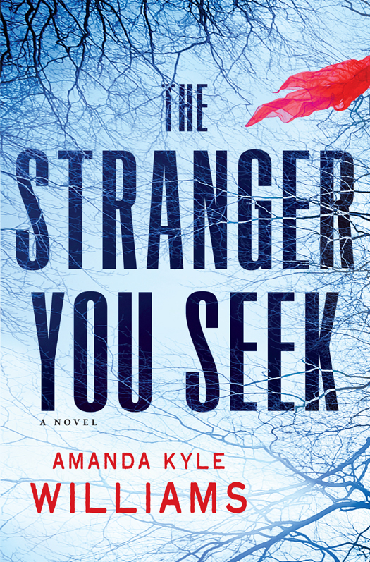 The Stranger You Seek (2011) by Amanda Kyle Williams