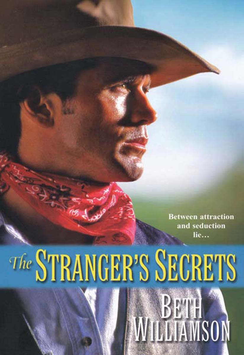 The Stranger's Secrets (2010) by Beth Williamson