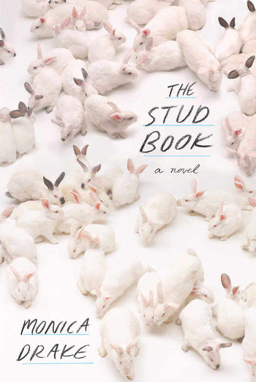 The Stud Book (2013)