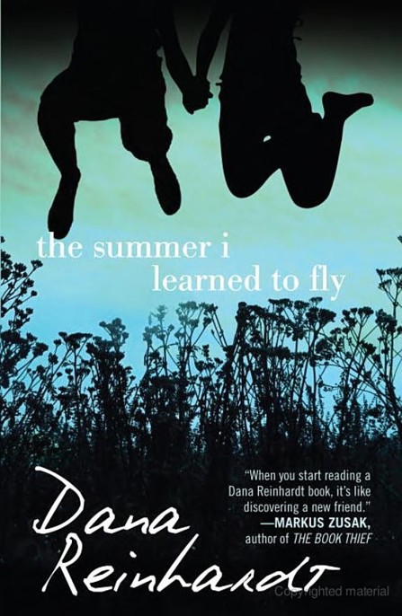 The Summer I Learned to Fly by Dana Reinhardt