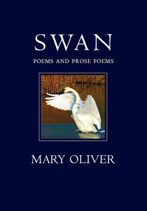 The Swan (2010)