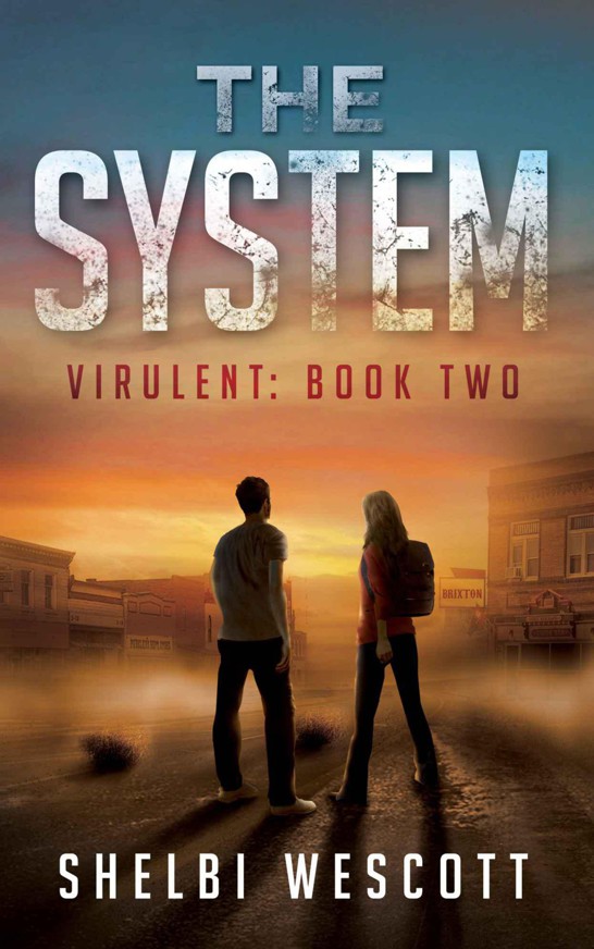 The System #2 by Shelbi Wescott