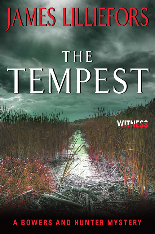 The Tempest (2015) by James Lilliefors