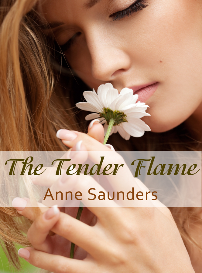 The Tender Flame (2012) by Anne Saunders