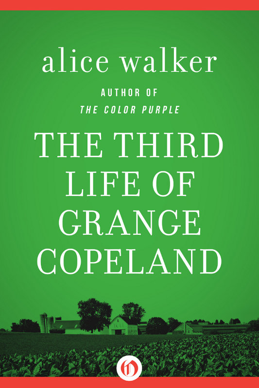 The Third Life of Grange Copeland by Alice Walker