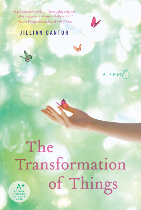 The Transformation of Things by Jillian Cantor