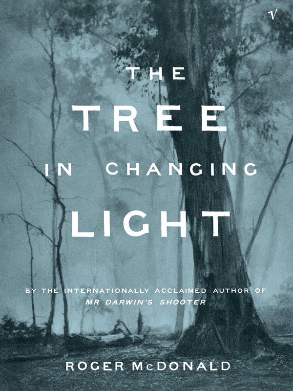 The Tree In Changing Light (2001)