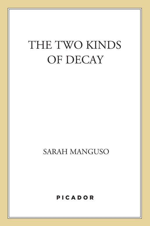 The Two Kinds of Decay (2011) by Sarah Manguso