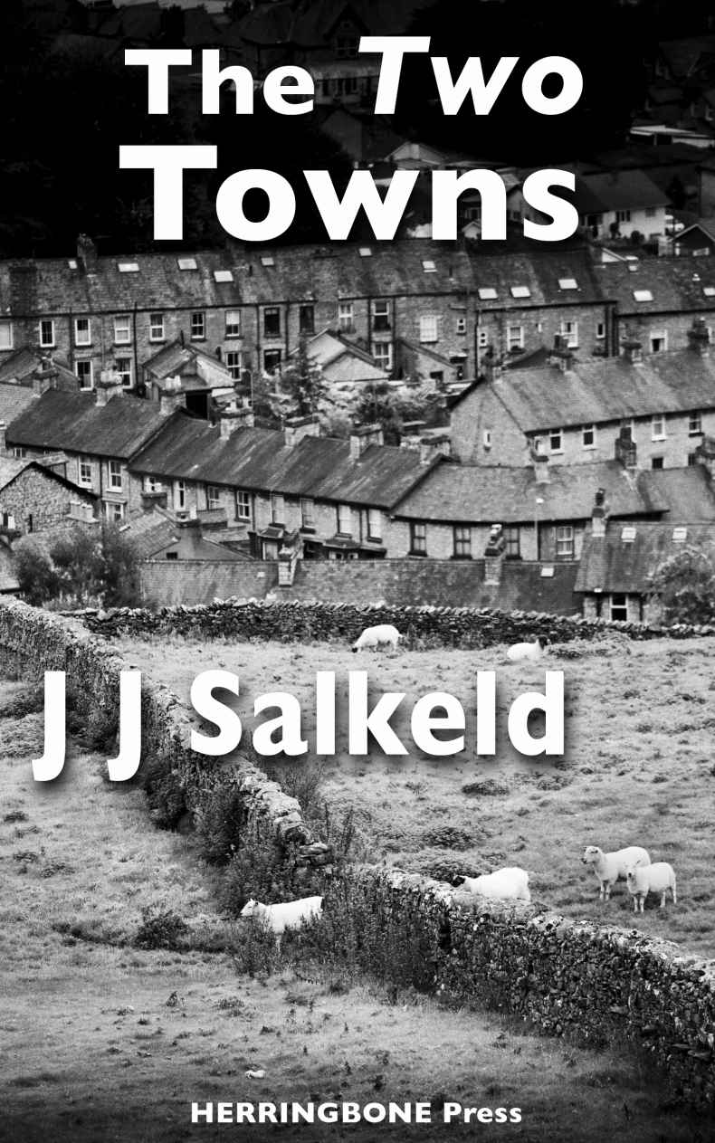 The Two Towns (The Lakeland Murders)