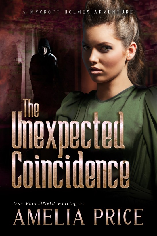 The Unexpected Coincidence by Amelia Price