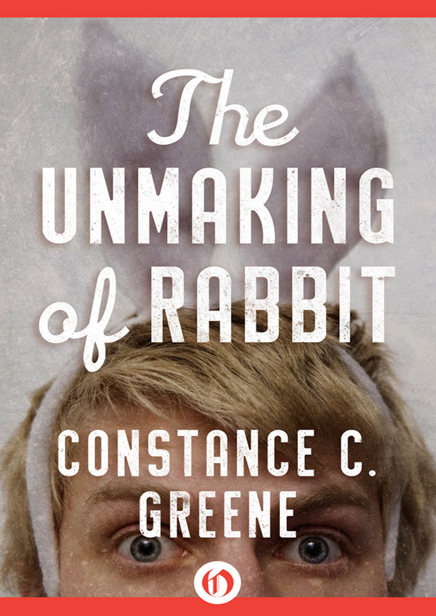 The Unmaking of Rabbit by Constance C. Greene