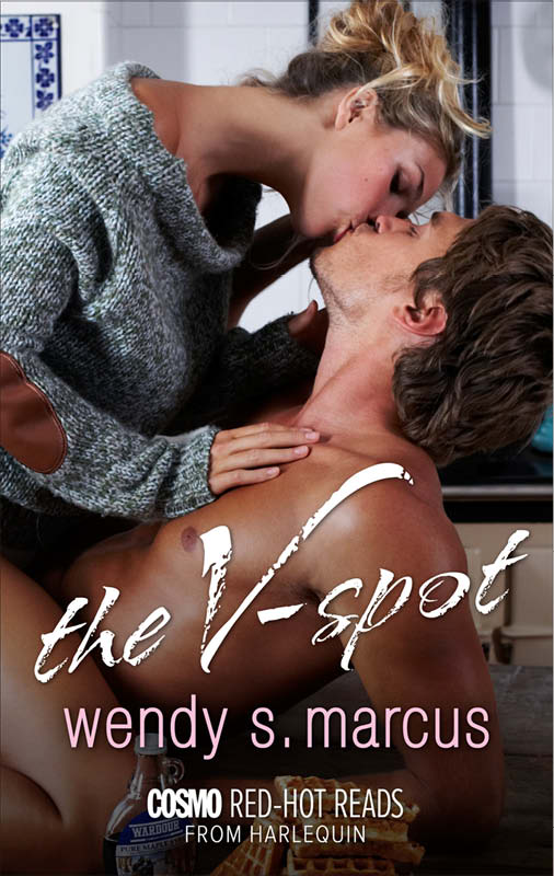 The V-Spot (2014) by Wendy S. Marcus