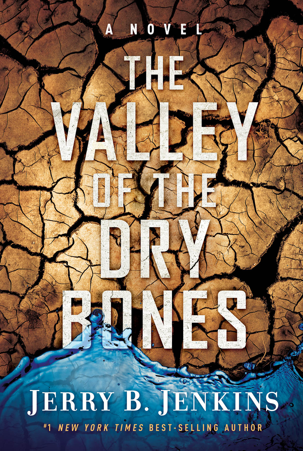 The Valley of Dry Bones (2016) by Jerry B. Jenkins