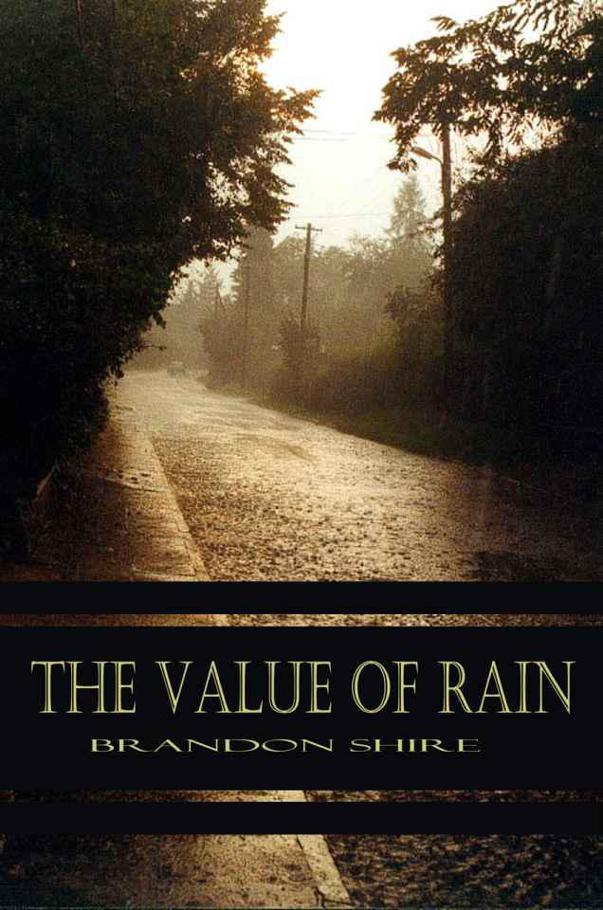 The Value Of Rain by Shire, Brandon