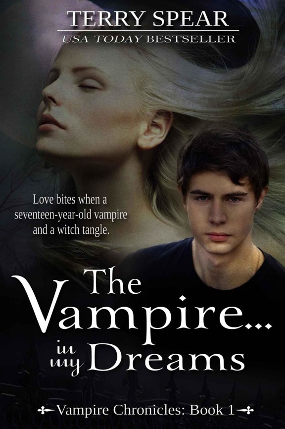 The Vampire...In My Dreams by Terry Spear