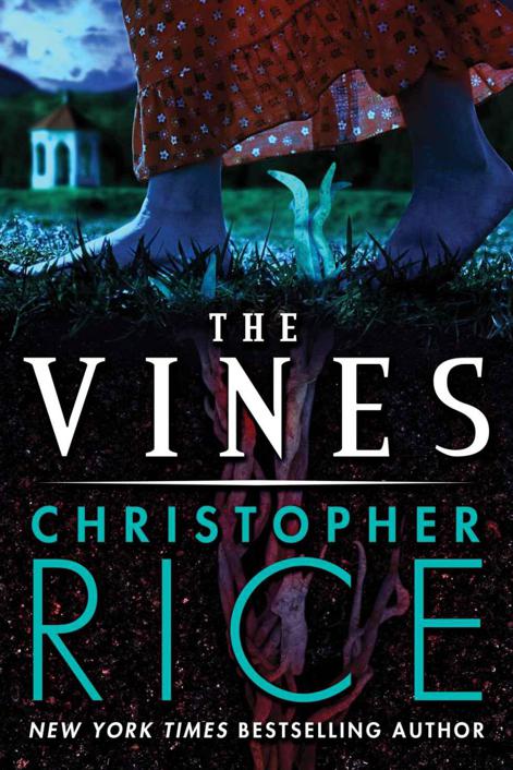 The Vines by Christopher  Rice