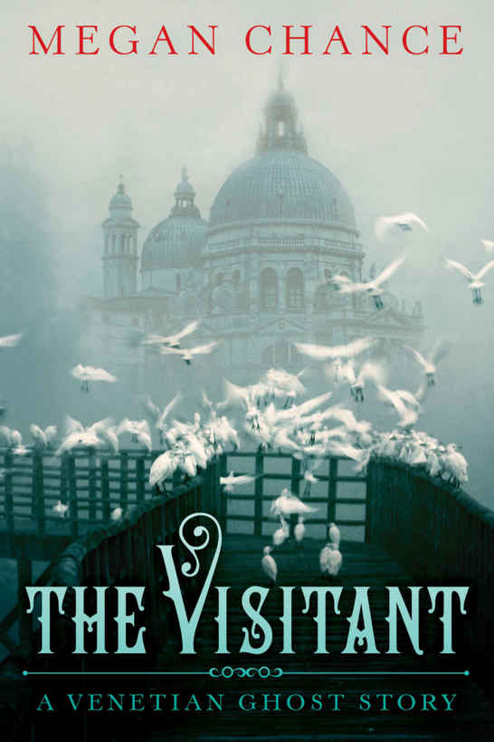 The Visitant: A Venetian Ghost Story by Megan Chance