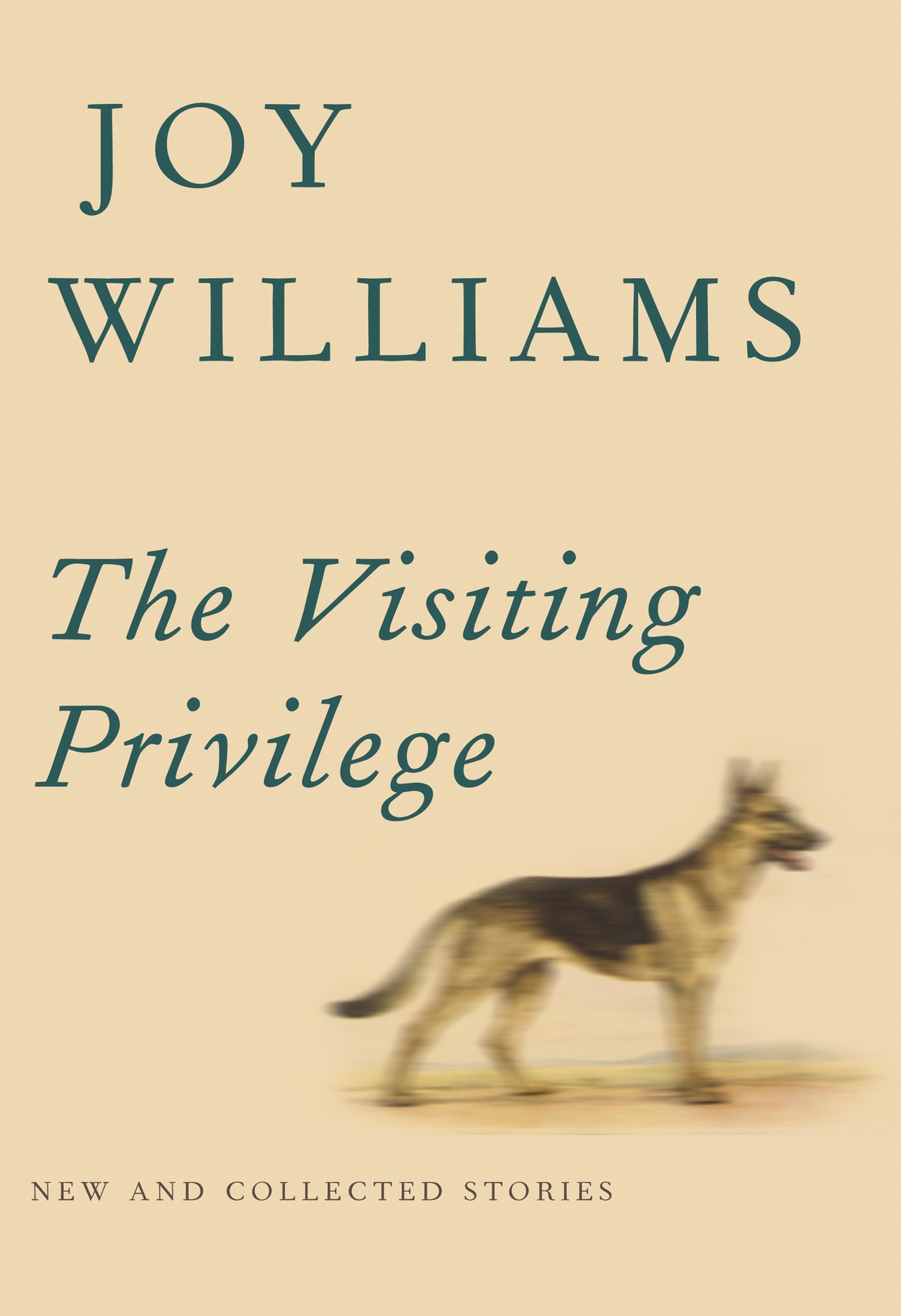 The Visiting Privilege (2015) by Joy Williams