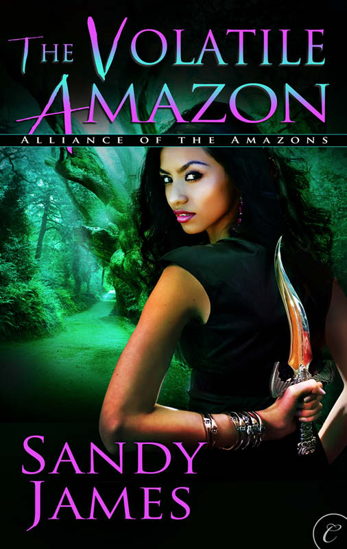 The Volatile Amazon (2013) by Sandy James